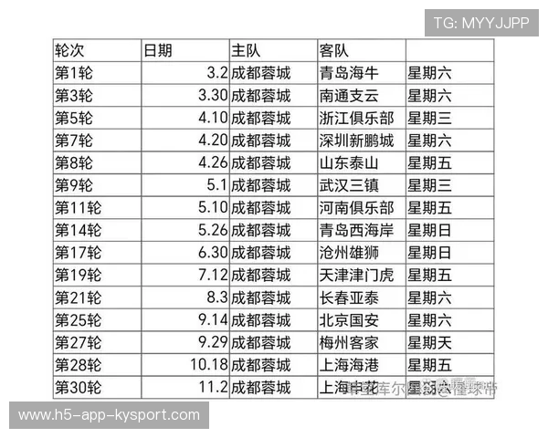中国足球联赛赛事安排与电视转播时间优化建议，中国足球比赛重播